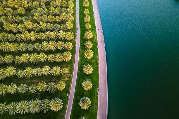 SHA Island: Discover the World First Longevity and Wellbeing Island in UAE 4 SHA Island