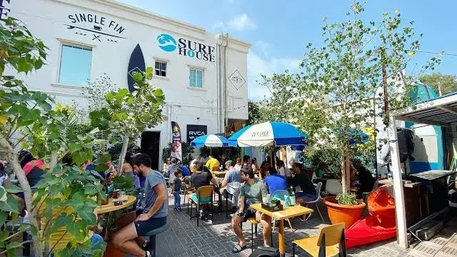 Top Pet Friendly Cafes in Dubai