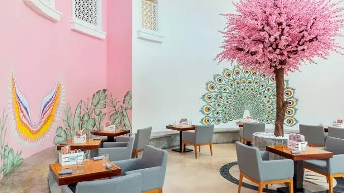 Top Pet Friendly Cafes in Dubai