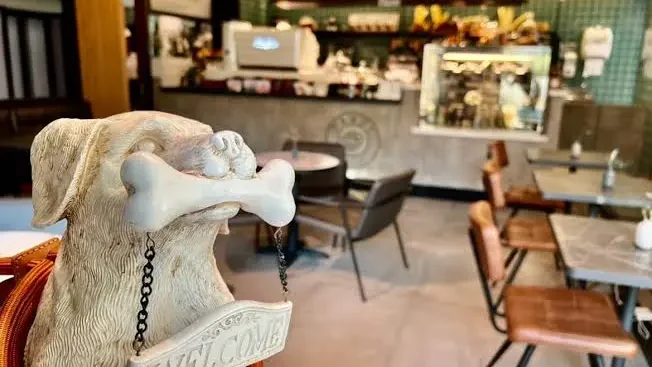 Top Pet Friendly Cafes in Dubai