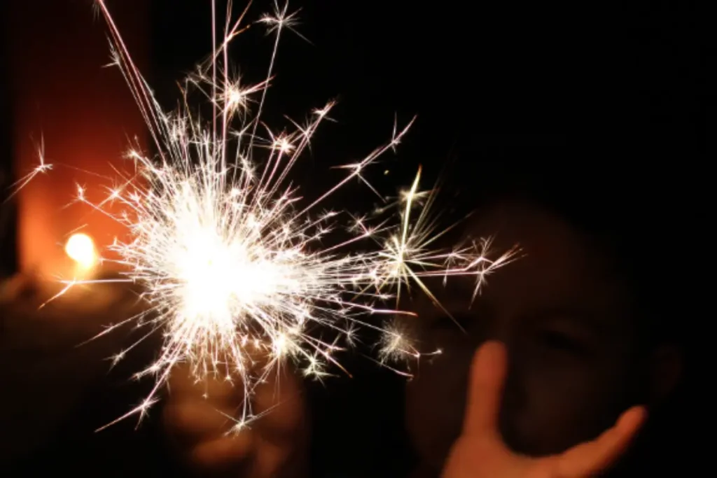 UAE to Host Largest Diwali Celebration at Zabeel Park 3 UAE to Host Largest Diwali Celebration at Zabeel Park