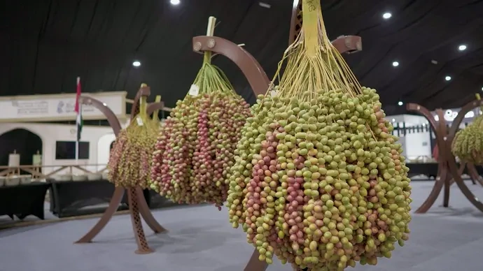 Liwa Date Festival 2025 Graced By Deputy PM: Vibrant Display Of Economy And Culture 4 Liwa Date Festival 2025 Graced By Deputy PM: Vibrant Display Of Economy And Culture