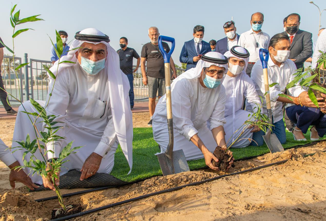 Tree Plantation Project in Dubai: 300,000 New Trees as Green Transformation 2 Tree Plantation Project in Dubai: 300,000 New Trees as Green Transformation