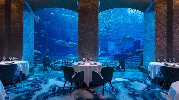 Top 12 Unique Restaurants in Dubai You Need to Try 5 Ossiano (Atlantis The Palm)